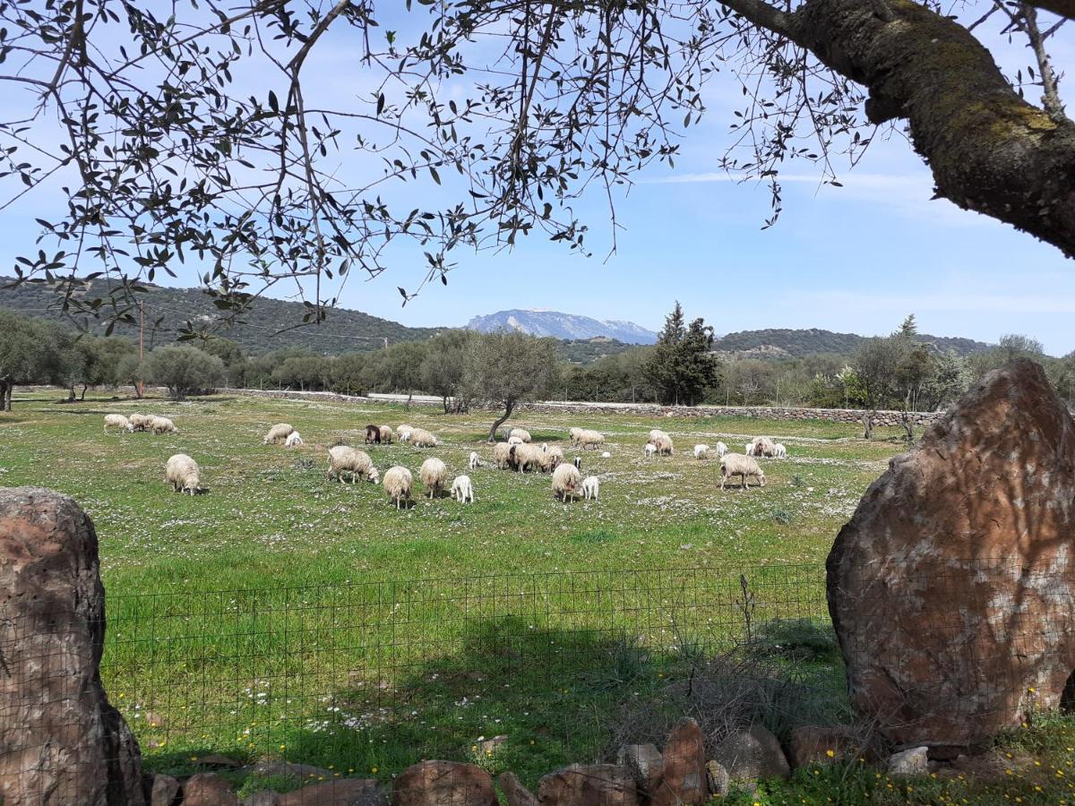 多尔加利Agriturismo Pira Pinta住宿加早餐旅馆 外观 照片