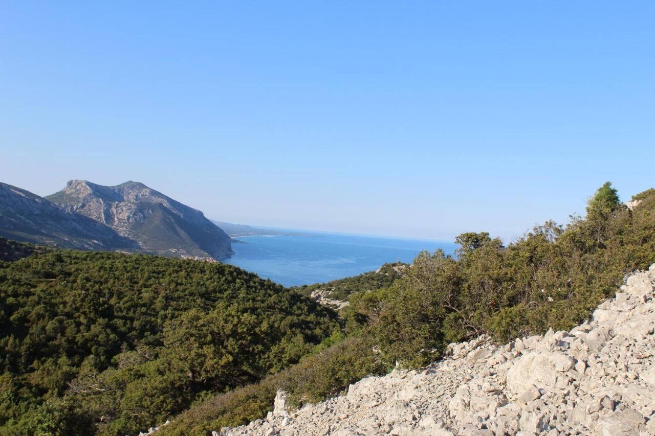 多尔加利Agriturismo Pira Pinta住宿加早餐旅馆 外观 照片